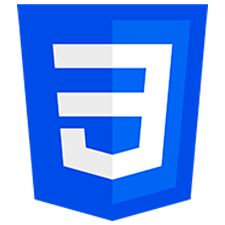 CSS Logo